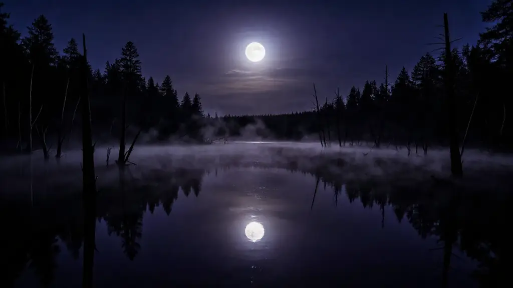 밤 낚시 중 저수지에서 내 이름을 부르는 소리를 들었습니다